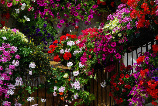 608006 (a): :2390x1600